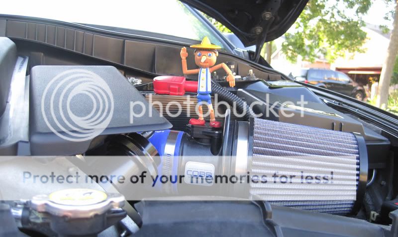 enginebay.jpg