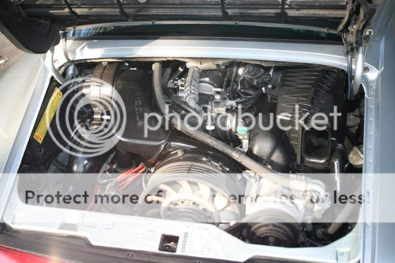 IMG_7896compressed1221953391.jpg