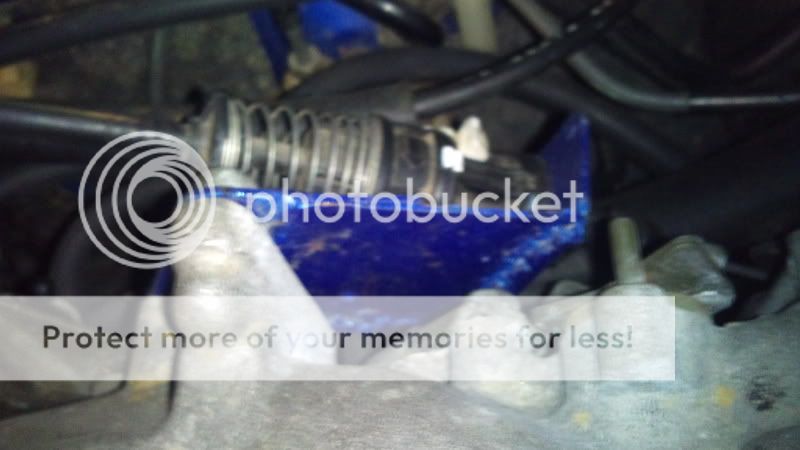 2012-03-22194625.jpg