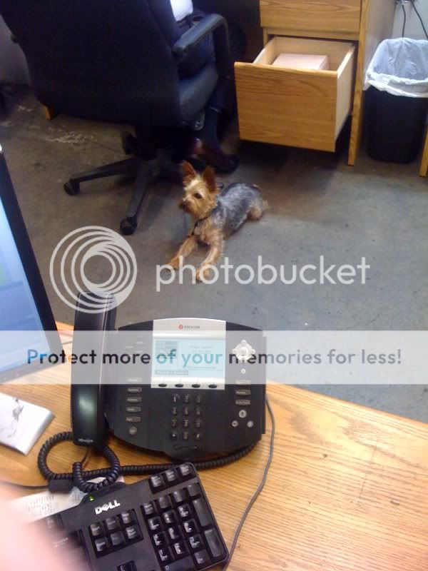 photo-1.jpg