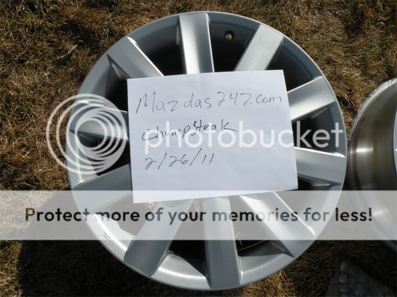 DSCN4519.jpg