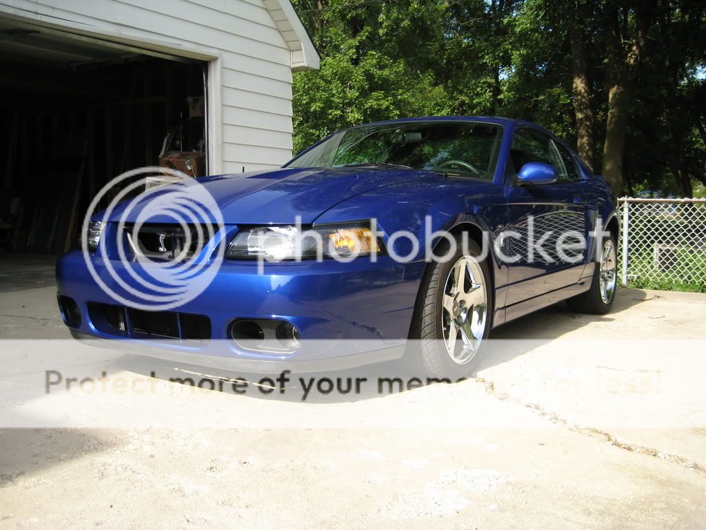 Dragday3012.jpg