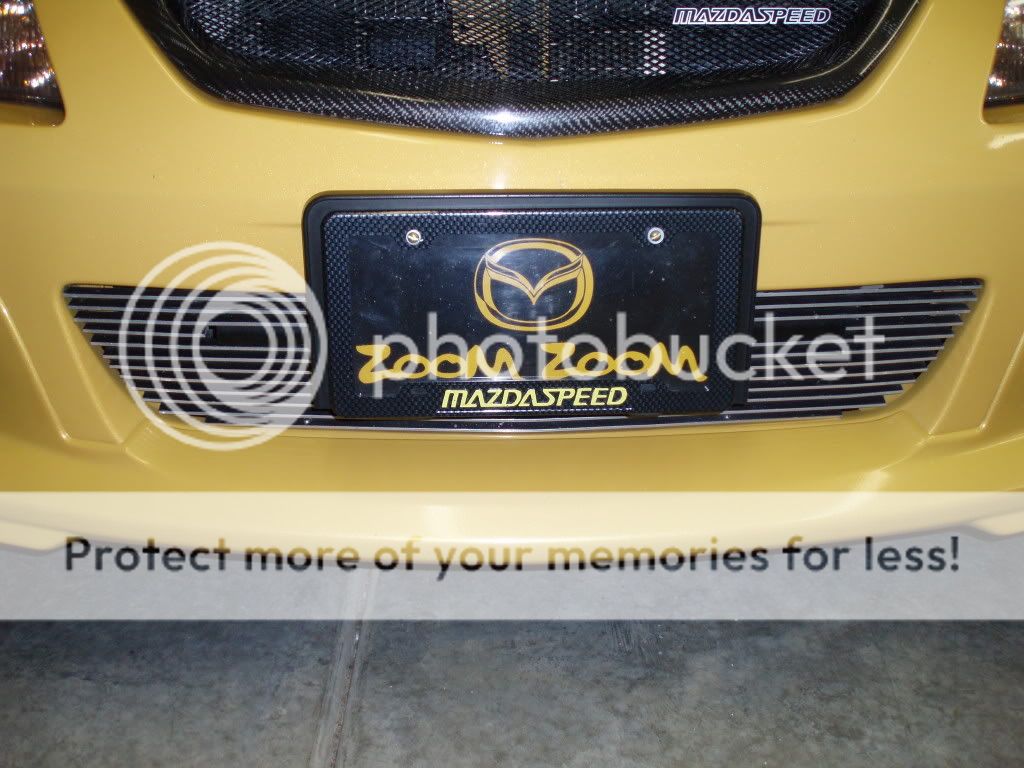 pictures081.jpg