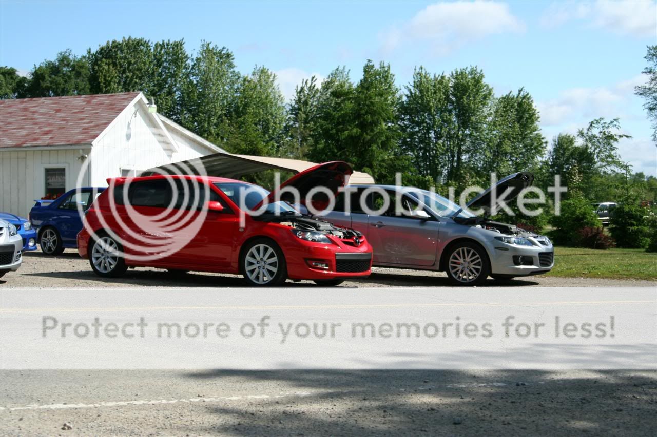 IMG_9239Custom.jpg