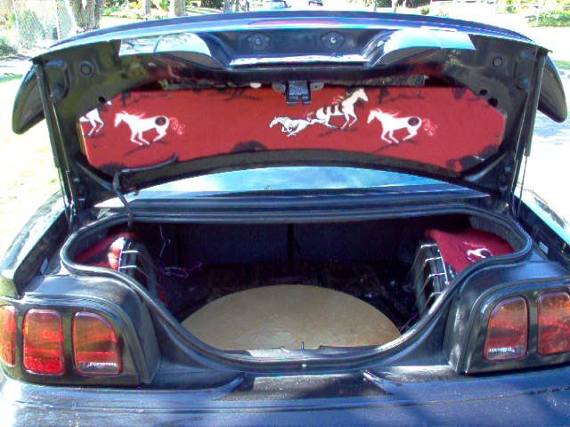 stangtrunk.jpg