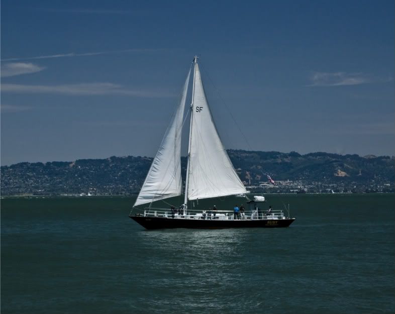 DSC_0116-1.jpg