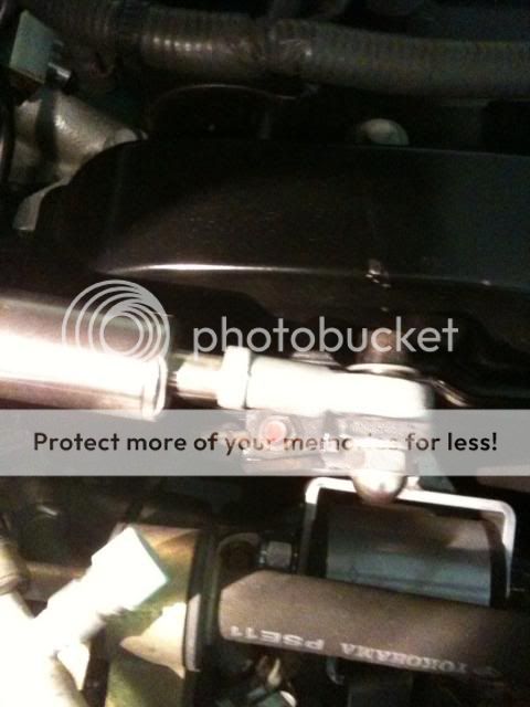 photo23.jpg