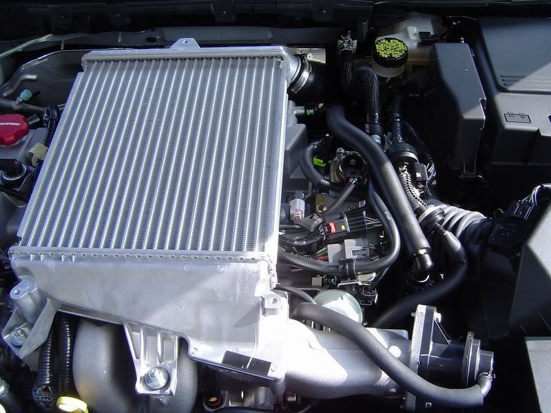 bay-nocover.jpg