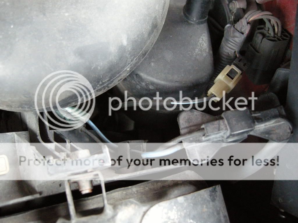 DSCN6157.jpg