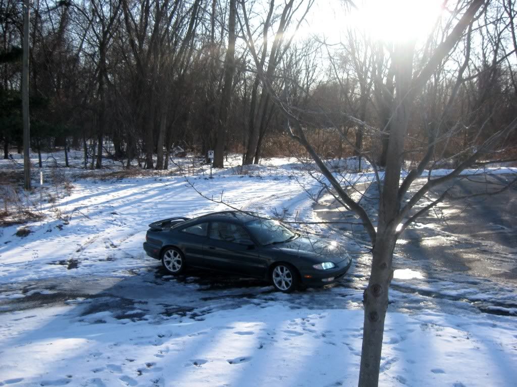 IMG_0135.jpg