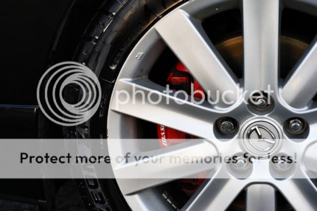 speed3_spring100002-1.jpg