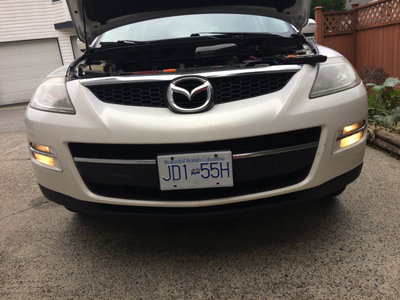 Fog_Lights_010.JPG