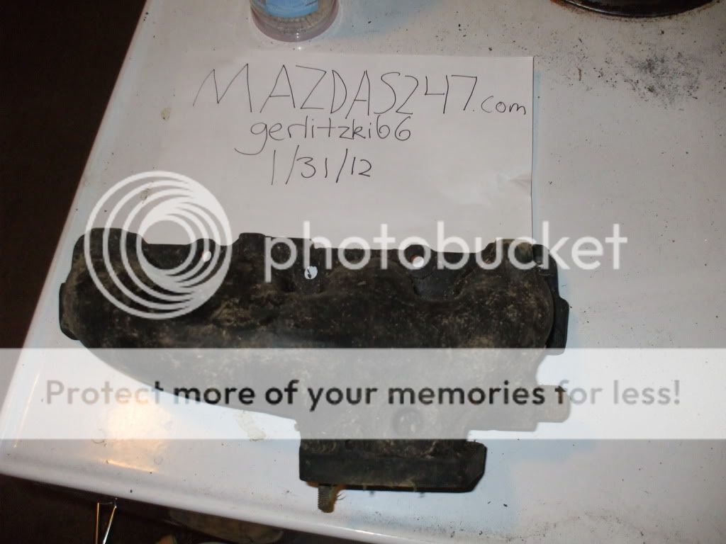 DSCF7154.jpg