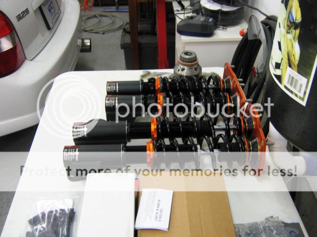 Struts-7.jpg