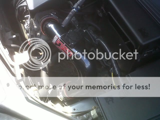 IMG00044-20100807-1311.jpg