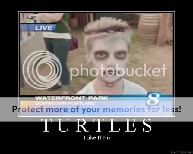 turtles.jpg