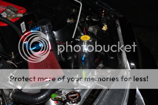 IMG_3065.jpg