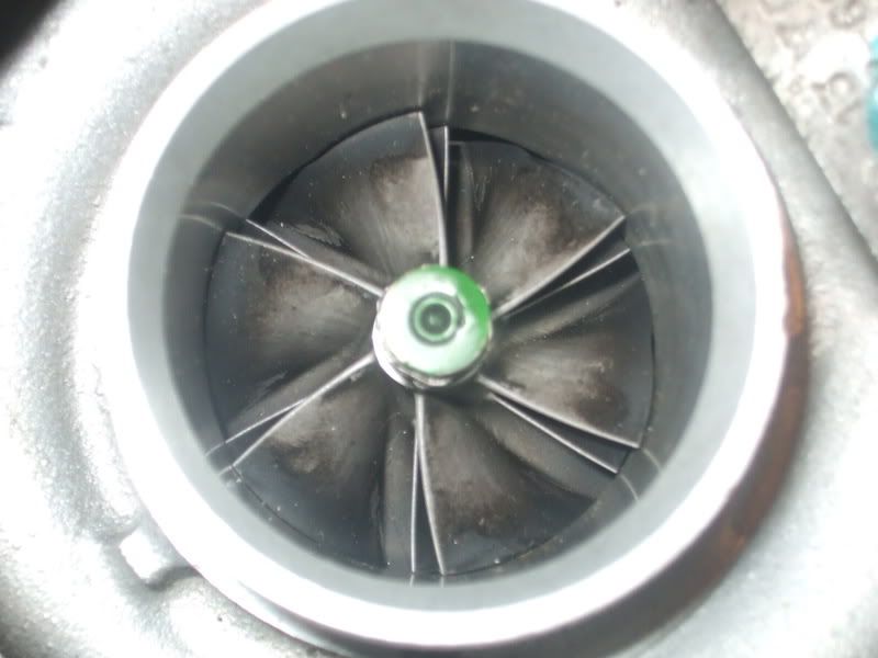 DSCF1028.jpg