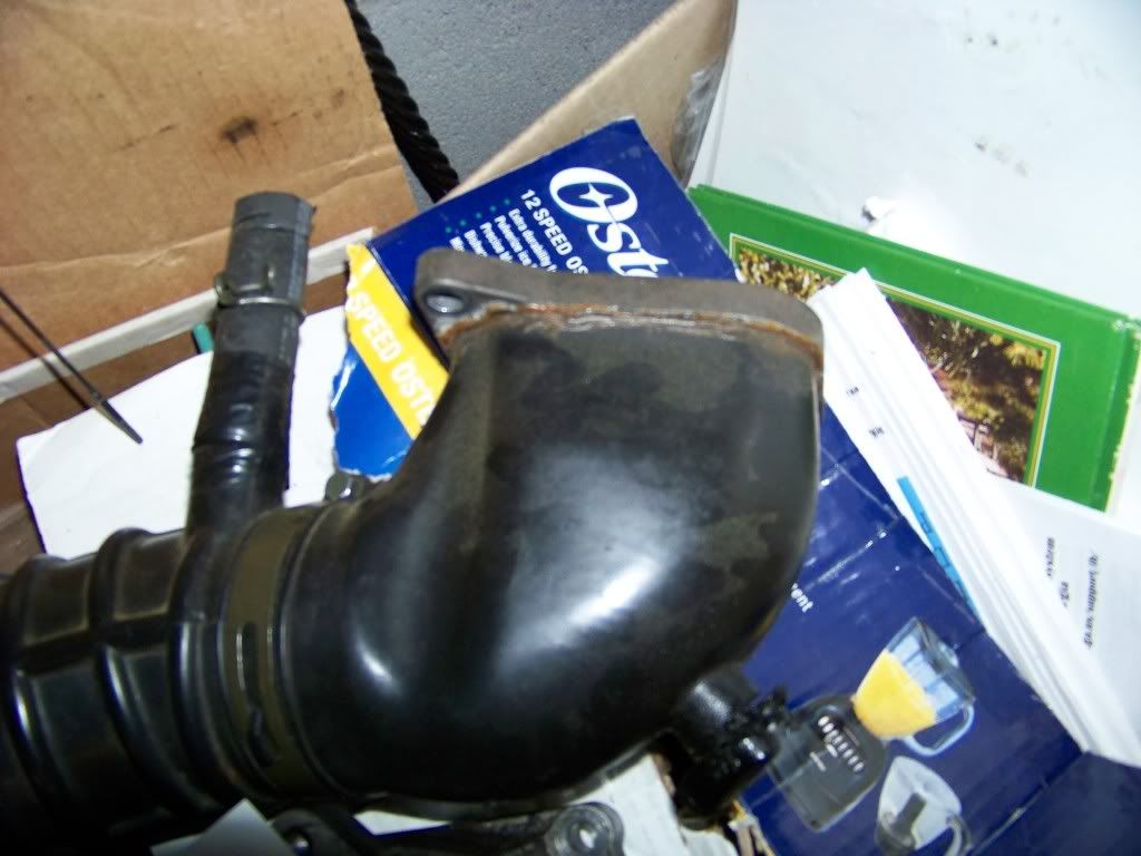 100_3811.jpg