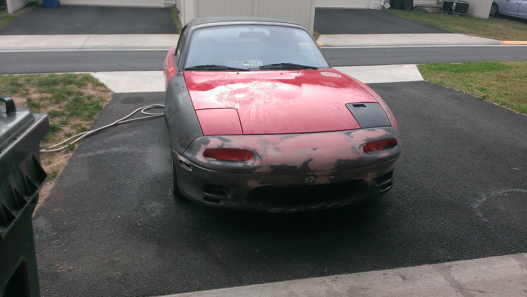 IMAG0347-XL.jpg