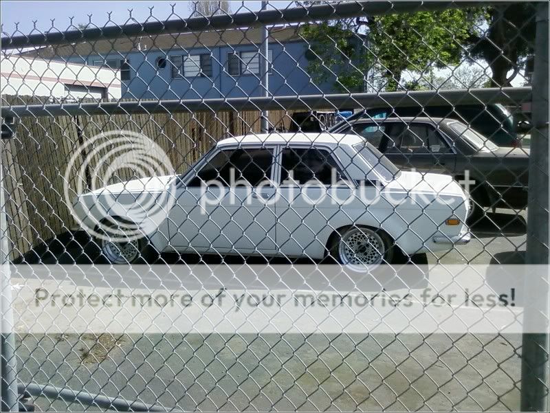 mynew510.jpg