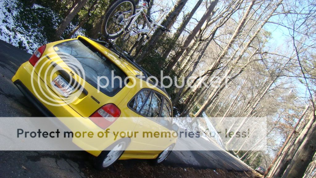 DSC06866.jpg