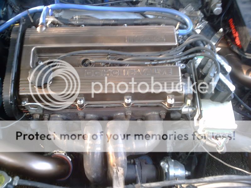 Picture088.jpg