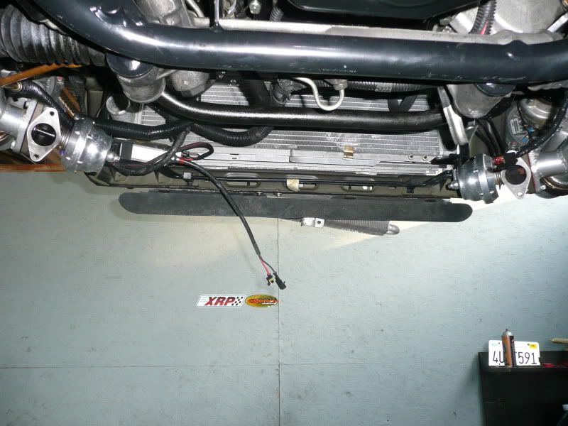 P1010717.jpg