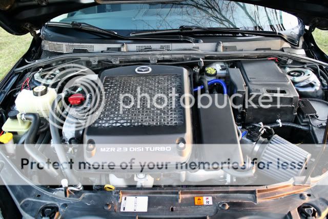 speed3_spring100003.jpg