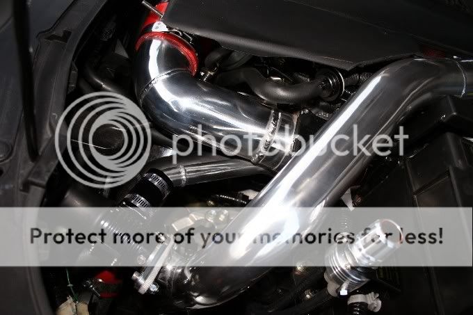 IMG_0087.jpg