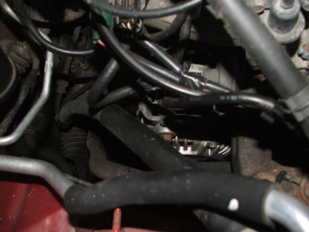 DSCF0730.jpg