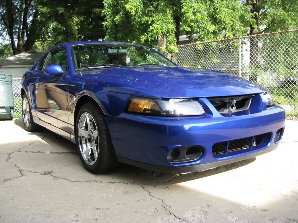 Dragday3011.jpg