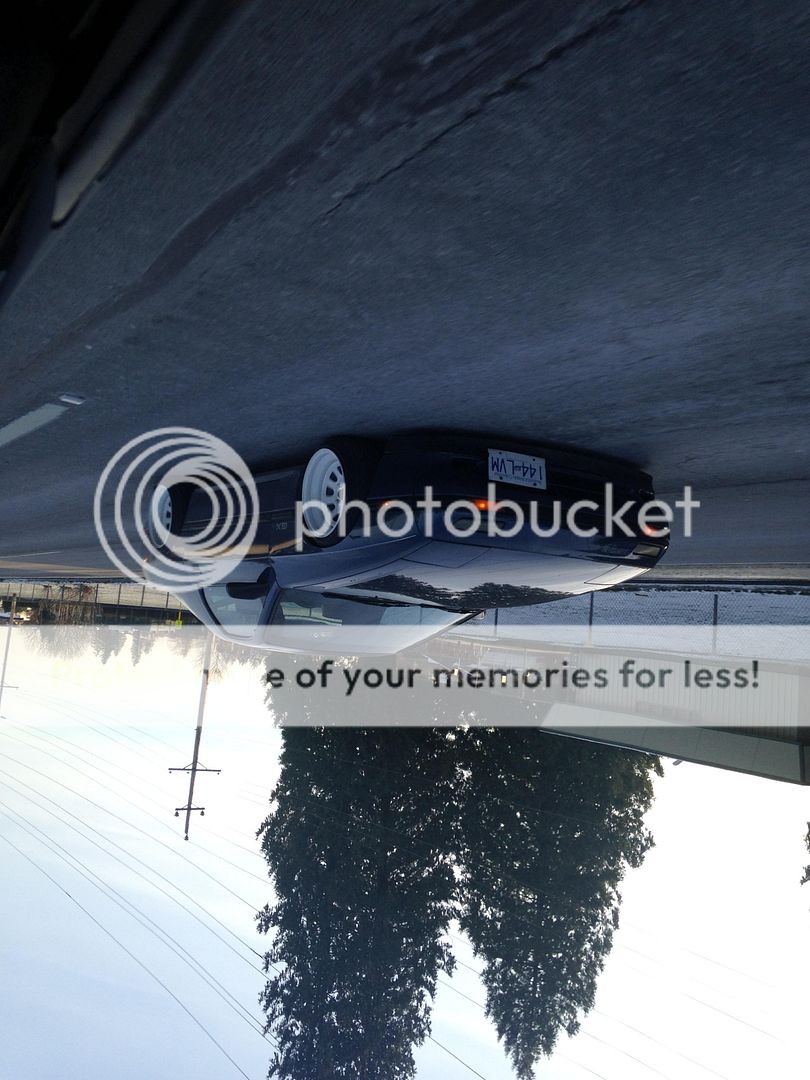 IMG_3240_zps9db5716d.jpg