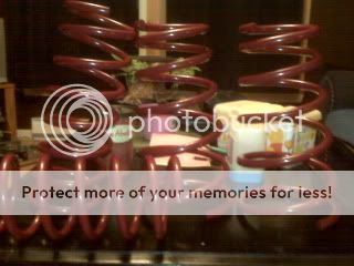 IMG01109.jpg