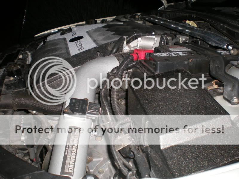 DSCN0831.jpg