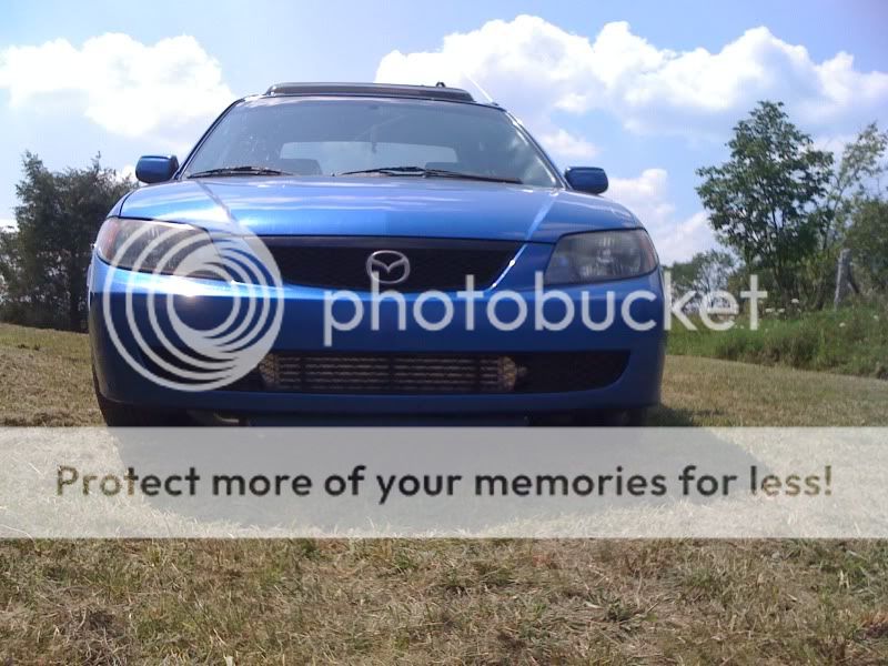 protege001.jpg