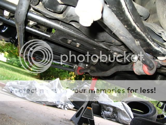IMG_1781.jpg