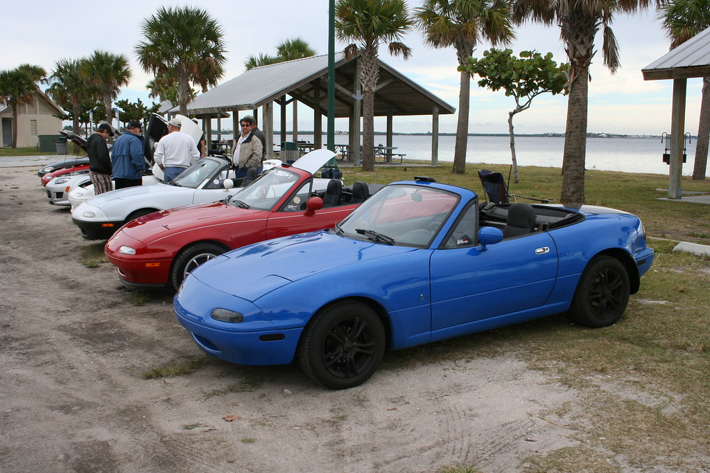 4141739012_b85fd495d8_b.jpg