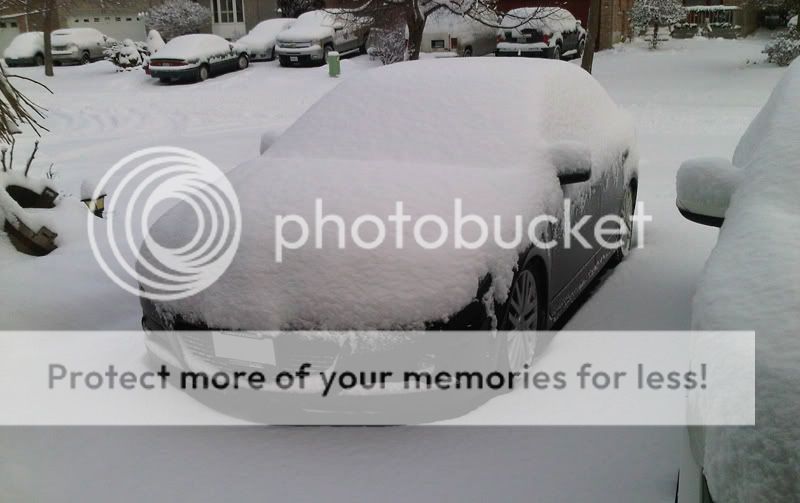 snowed.jpg