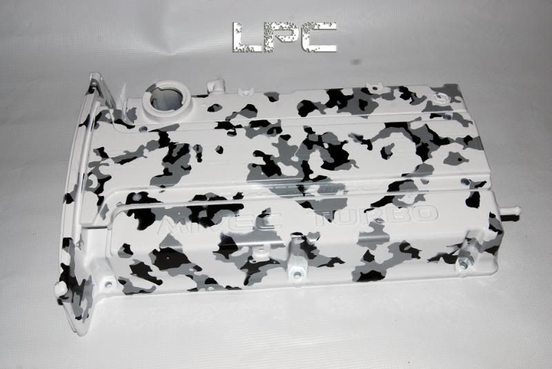 lpccnowcamo1.jpg
