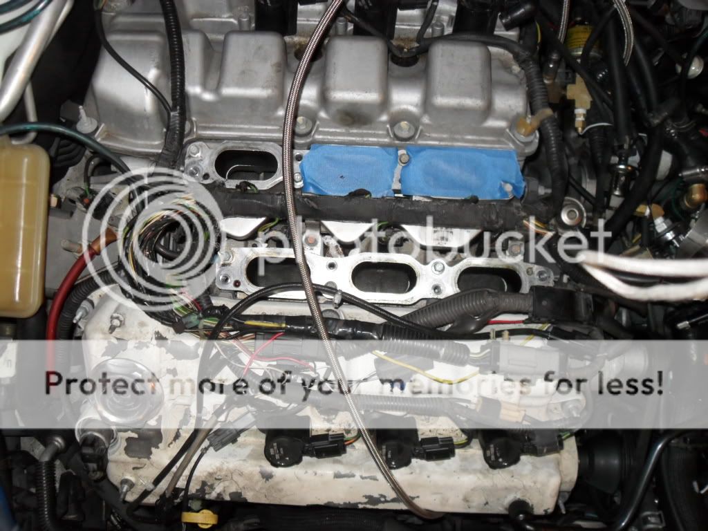 SDC10113.jpg