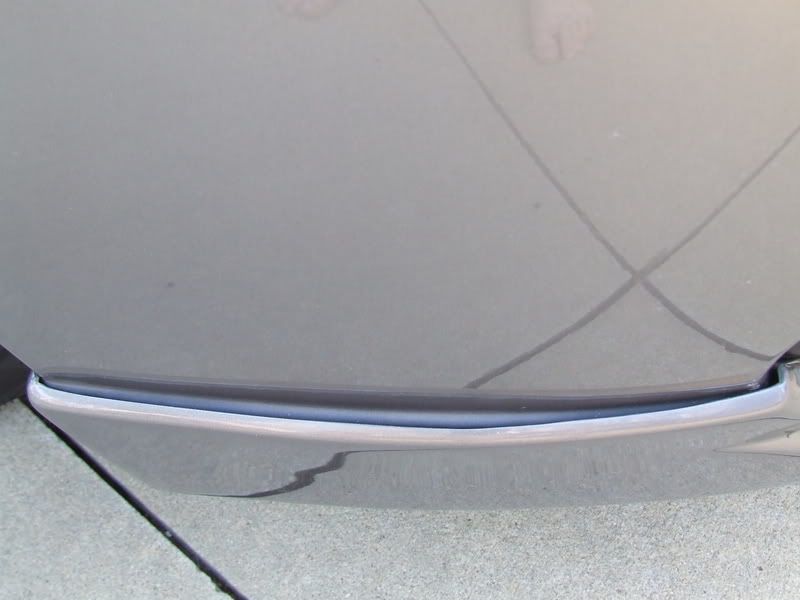 GVLip005.jpg