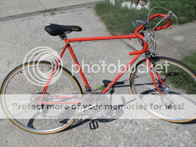 SDC11388.jpg