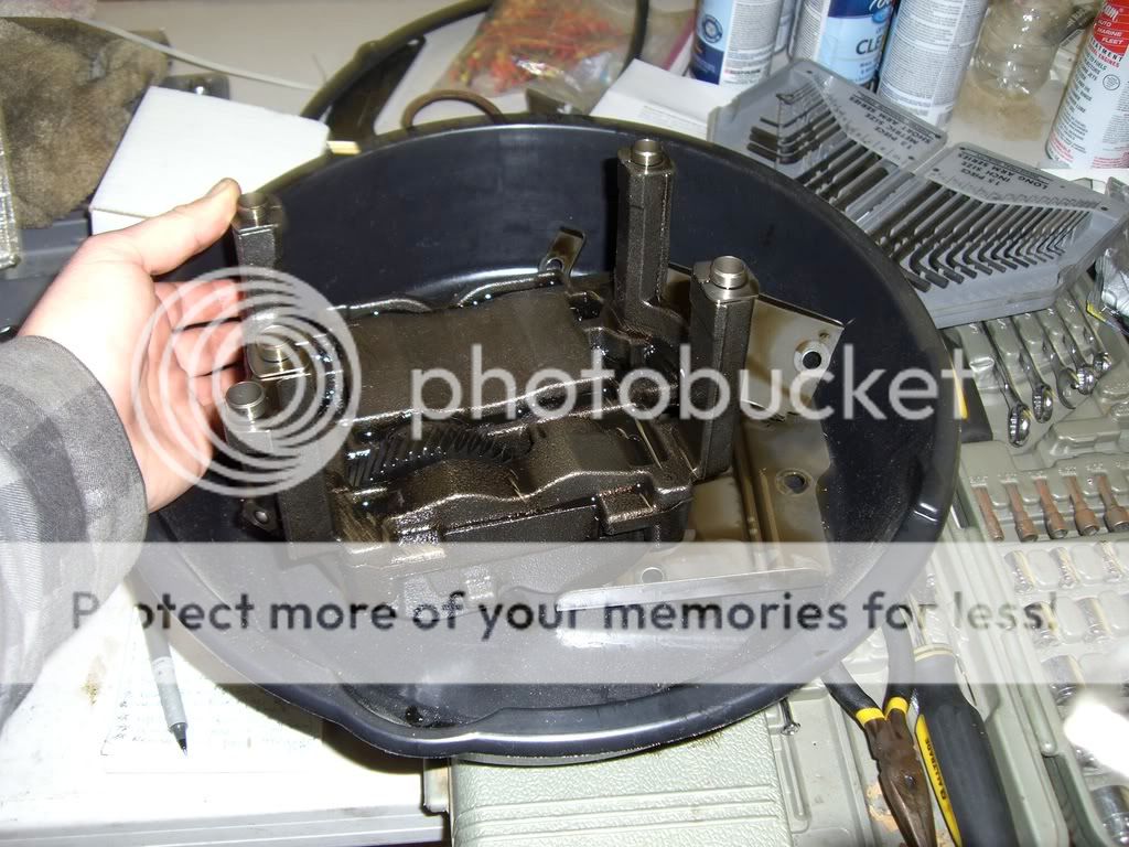CIMG0403.jpg