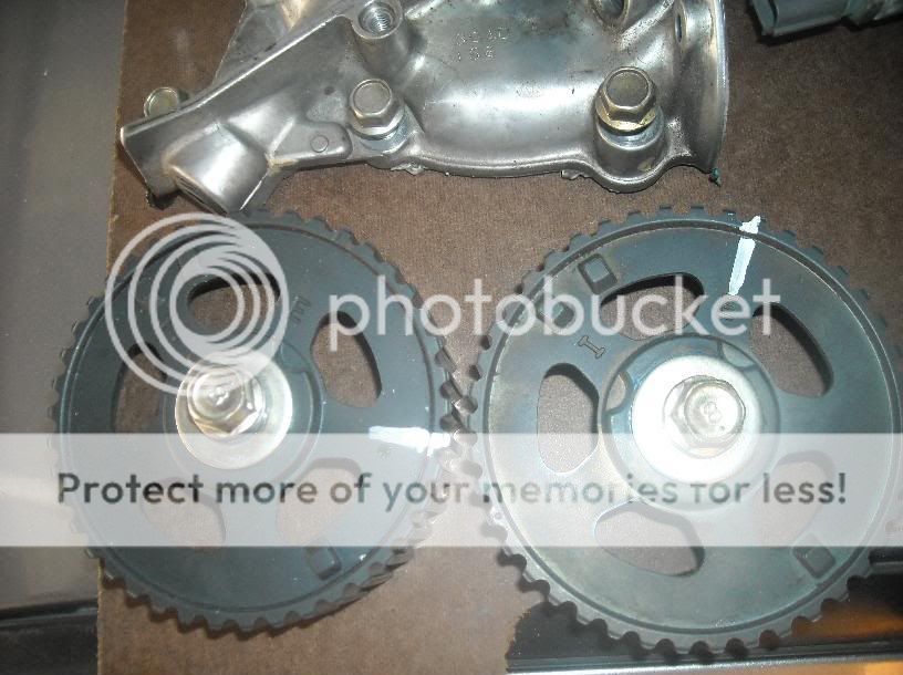 DSCN4280.jpg
