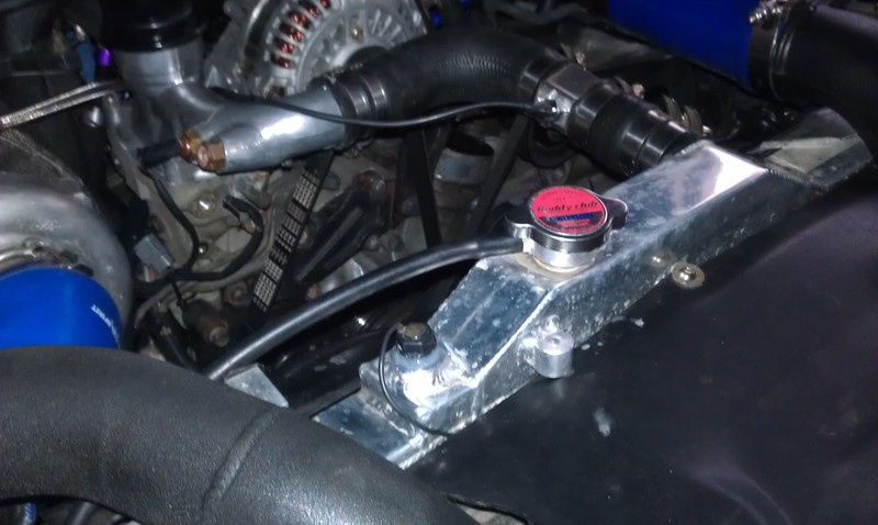 IMAG0295.jpg