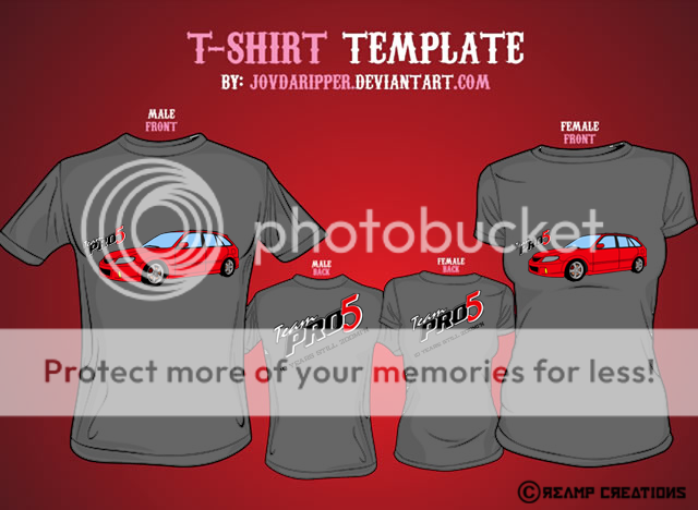teampro5tshirtgray.png