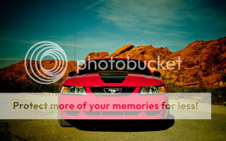 untitled-295.jpg