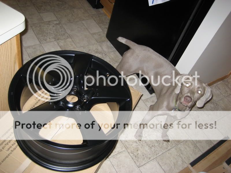 Picture003-6.jpg