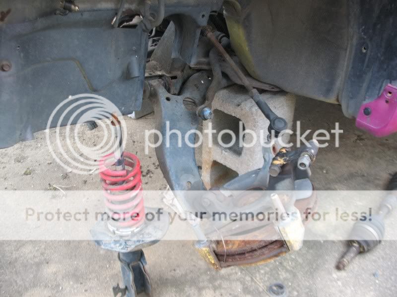 IMG_0228800x600.jpg